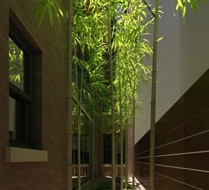 PRIVATE ROOF GARDEN